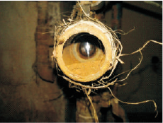 1680601144719868.png 1680601144719868.png